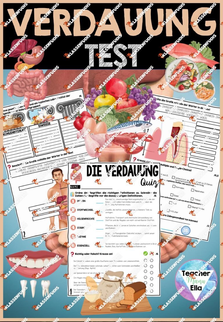 Die Verdauung Test – Ernährung + Zähne | Quiz & Arbeitsblätter – Differenzierte Herangehensweise